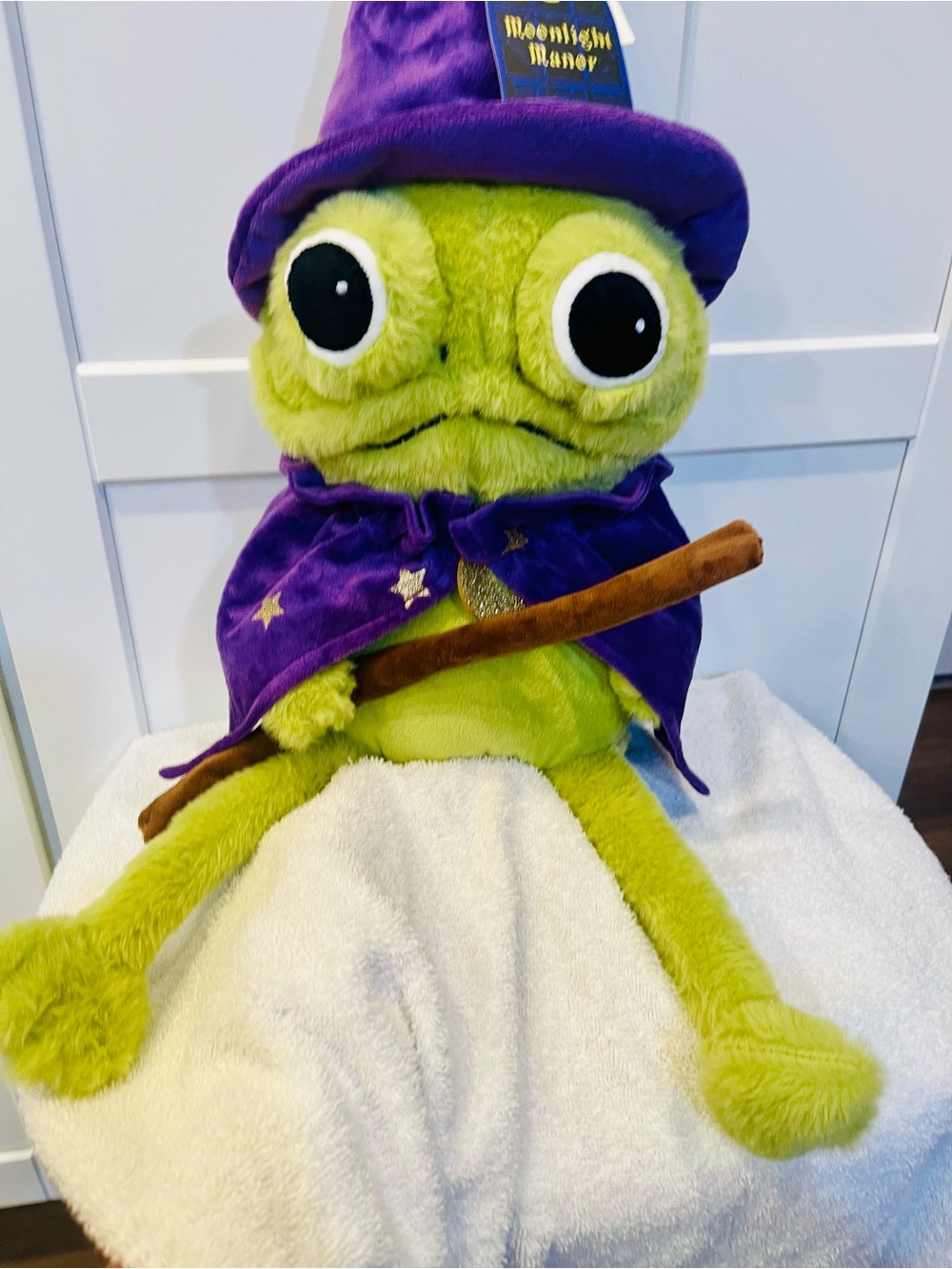 NWT 2026 Moonlight Manor Halloween Frog wizard